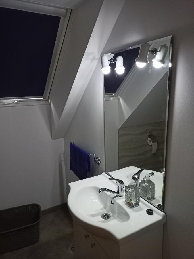 Apartma Sveti Duh Nova Vas  エクステリア 写真