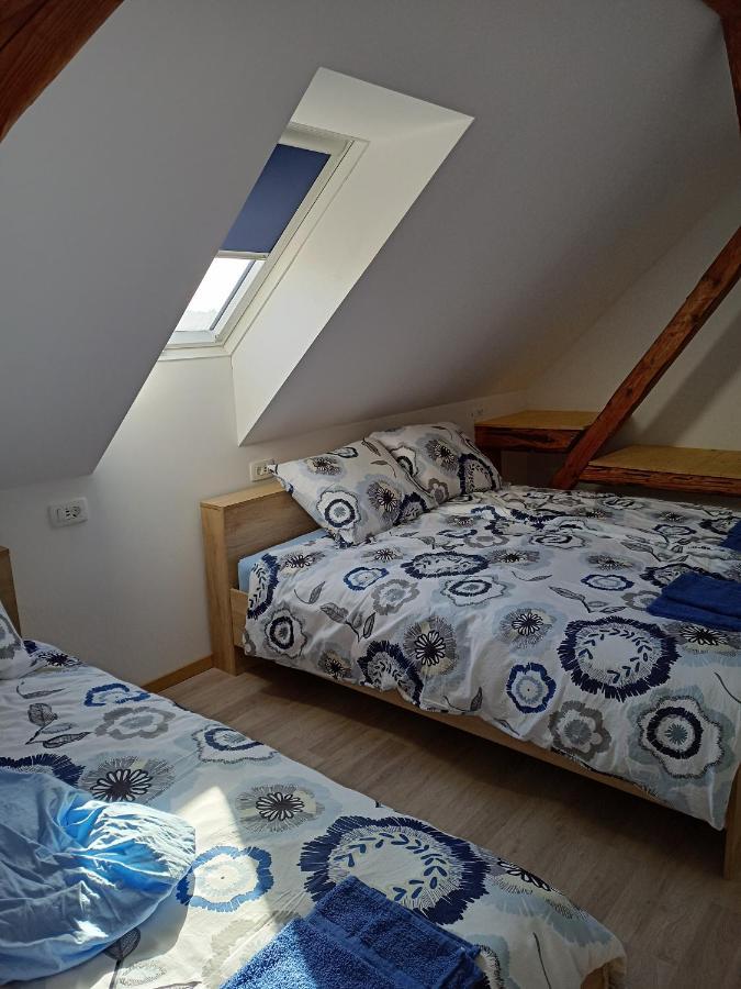 Apartma Sveti Duh Nova Vas  エクステリア 写真