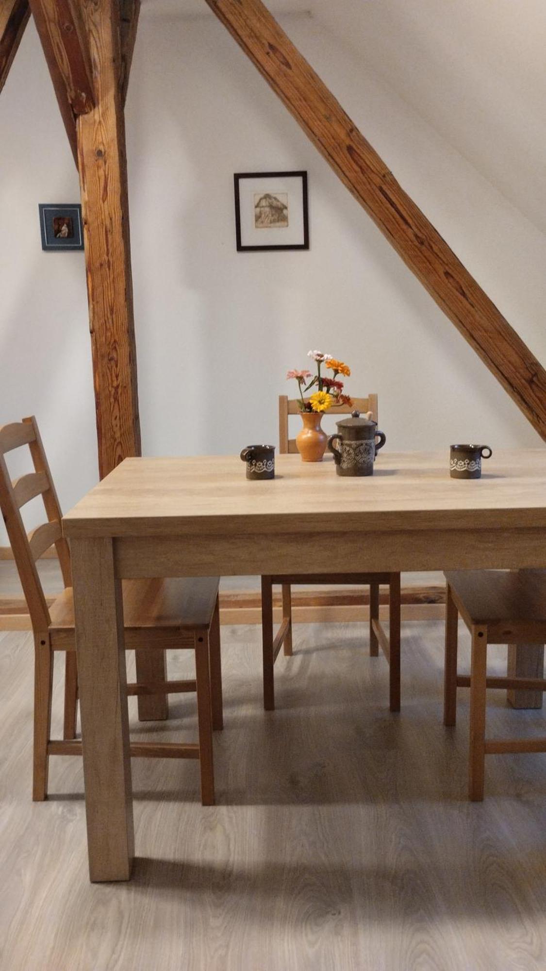 Apartma Sveti Duh Nova Vas  エクステリア 写真