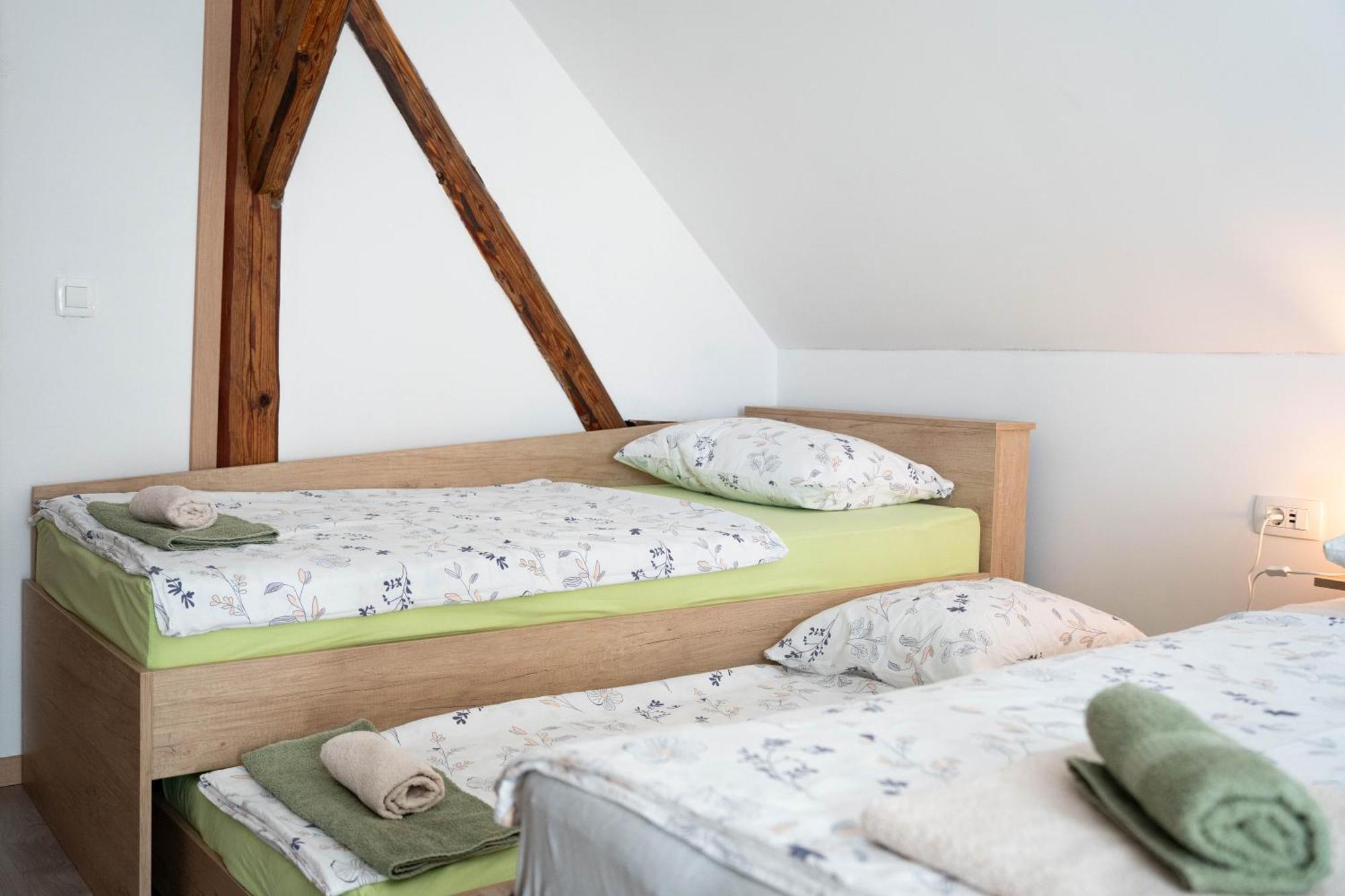 Apartma Sveti Duh Nova Vas  部屋 写真
