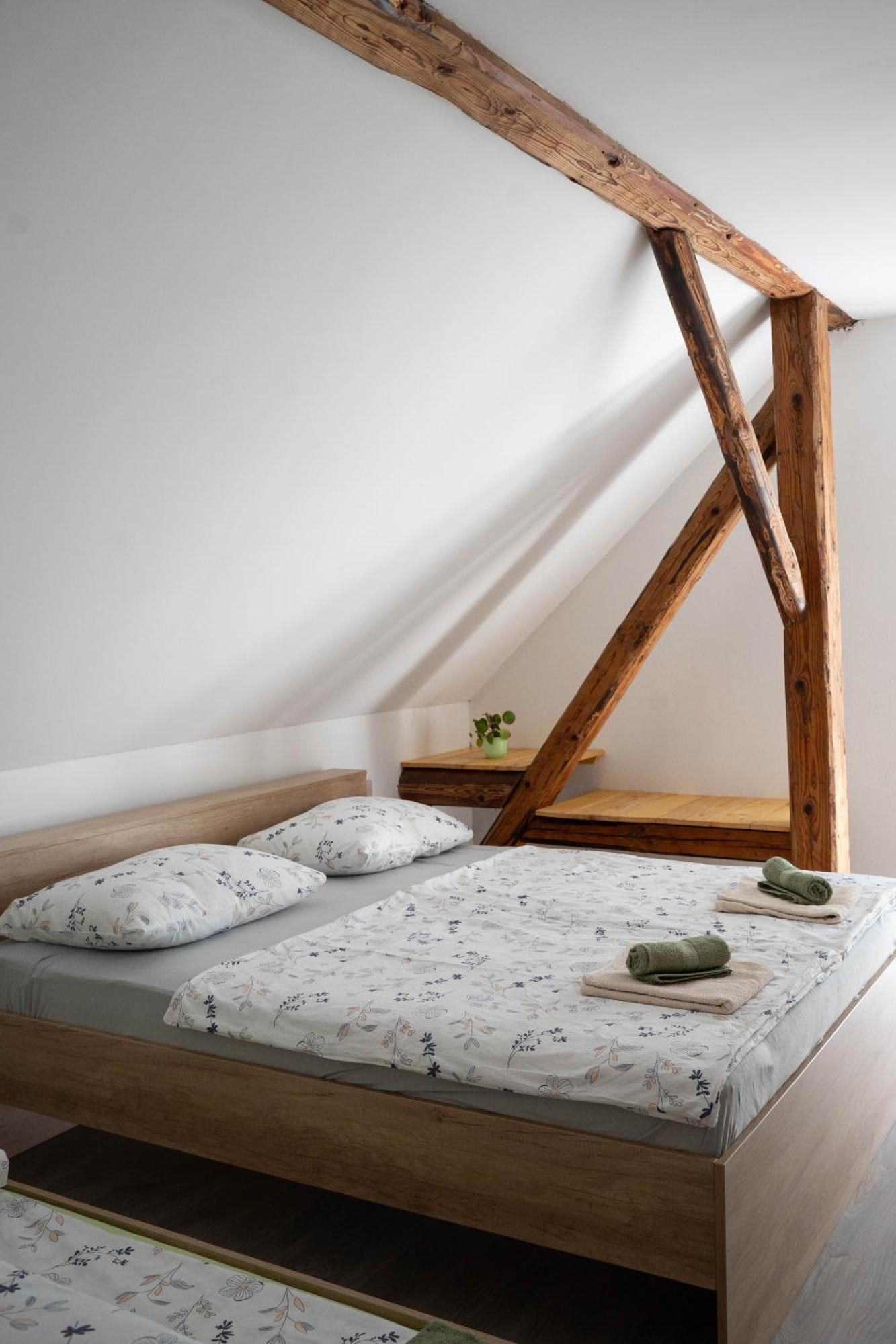 Apartma Sveti Duh Nova Vas  部屋 写真