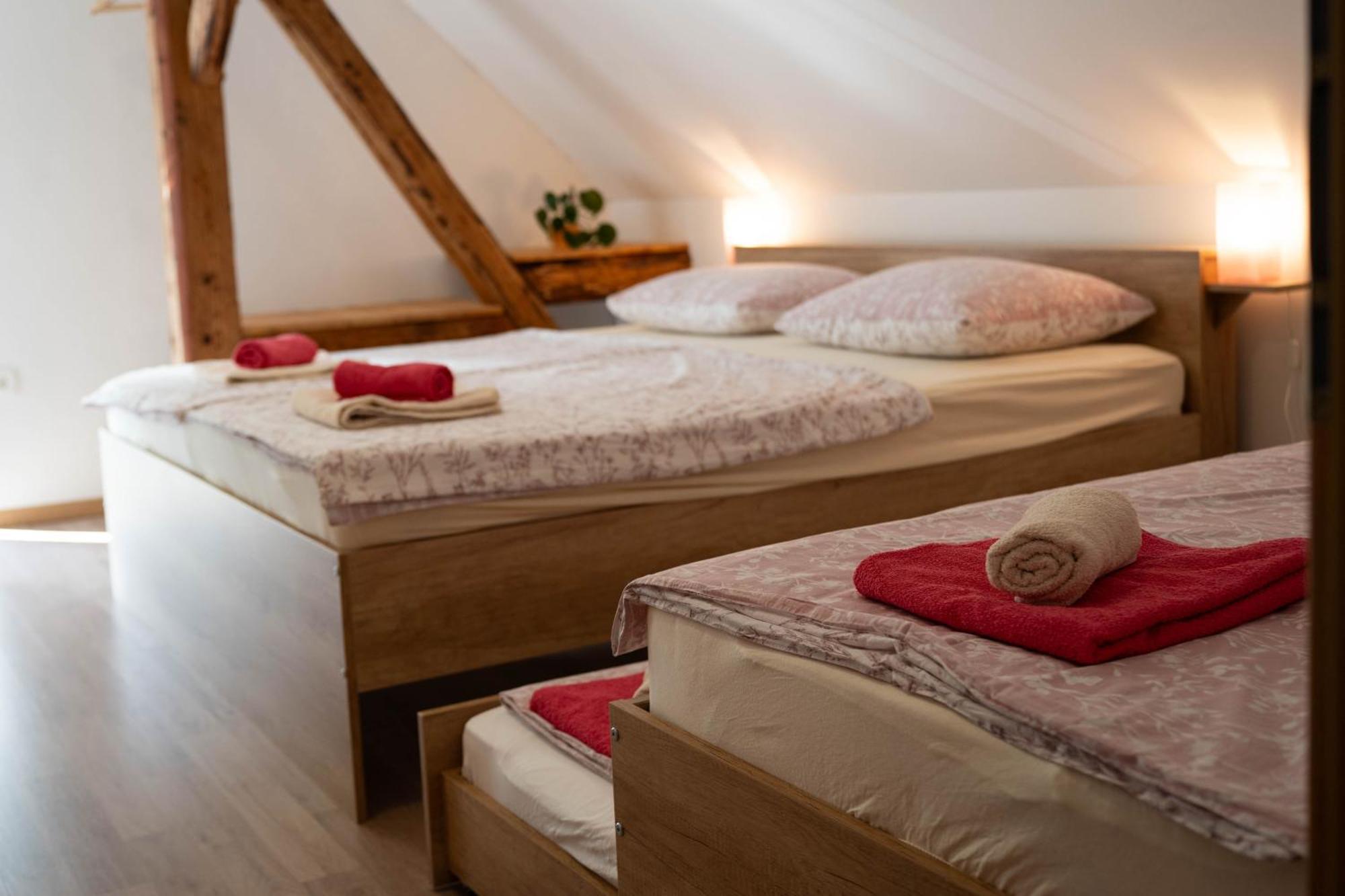 Apartma Sveti Duh Nova Vas  部屋 写真